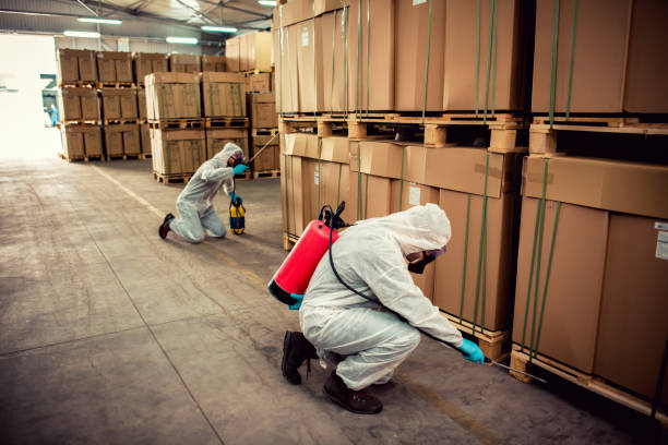 Best Flea Control Services  in Willimantic, CT