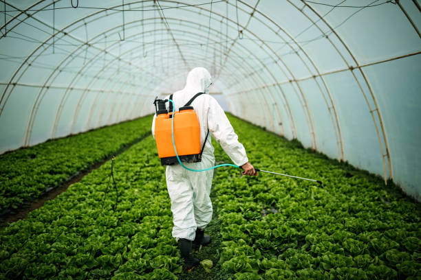 Best Affordable Pest Control Services  in Willimantic, CT