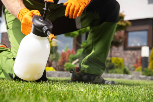 Best Affordable Pest Control Services  in Willimantic, CT