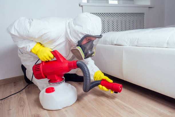 Best Affordable Pest Control Services  in Willimantic, CT