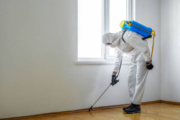 Best Commercial Pest Control Services  in Willimantic, CT