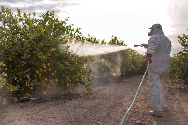 Pest Control for Restaurants in Willimantic, CT