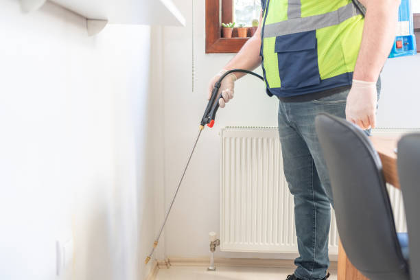 Reliable Willimantic, CT Pest Control Solutions