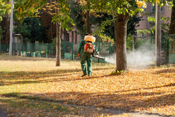Best Exterminator Services  in Willimantic, CT